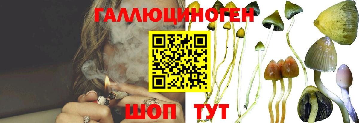 Галлюциногенные грибы прущие грибы Мегион